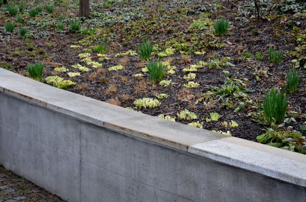 Concrete Walls Pouring in Gig Harbor