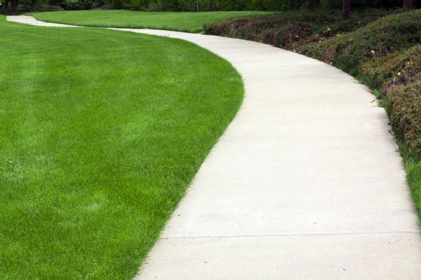 Pathway Construction in Gig Harbor