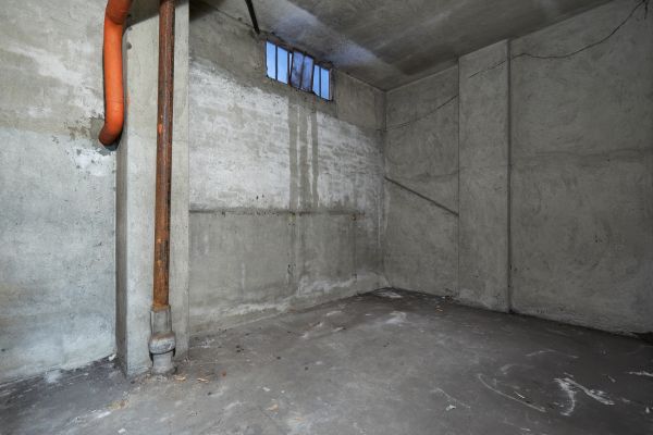 Basement Wall Construction in Gig Harbor
