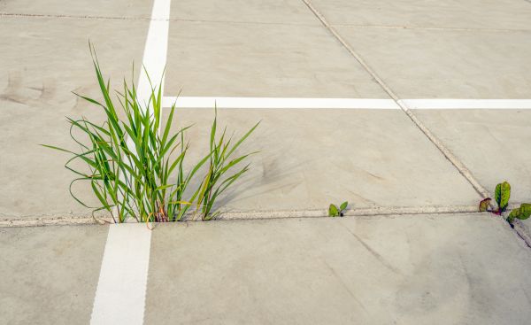 Concrete Parking Installation in Gig Harbor